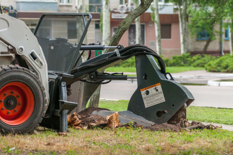 Rognage de souches : une alternative écologique au dessouchage chimique, Issy-les-Moulineaux, Nov'Arbor Elagage